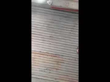 Chaturbate Best Webcam of hotarianafox4uxx