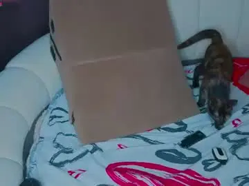 Chaturbate Free Porn Cam of emilytrays