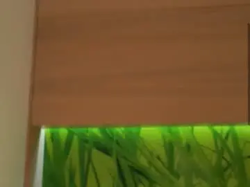 Chaturbate Best live sex cam show of _wicked_game