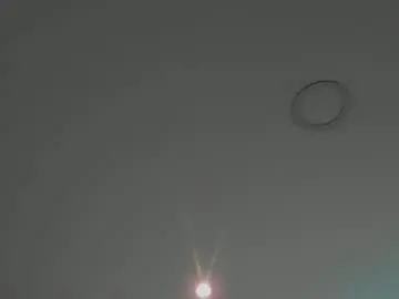 Chaturbate Adult Webcam of tony_petrov