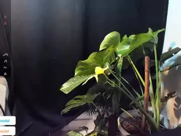 Chaturbate Nude Webcam of lucasanto_