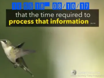 Imlive Live Porn of klubnika23