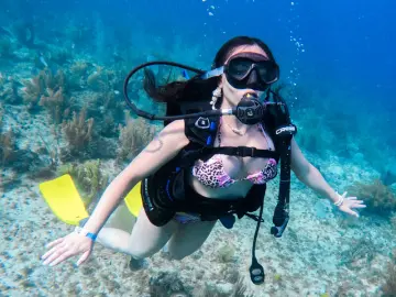 Livejasmin Sex Cam of AliceSampaoli