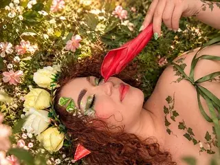 Streamate Live Sex of DaphneMonroe