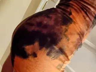 Streamate Live Sex Cam of secrethoneypotxo