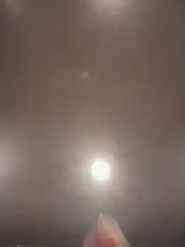 Stripchat Sex Cam of ThicBunz