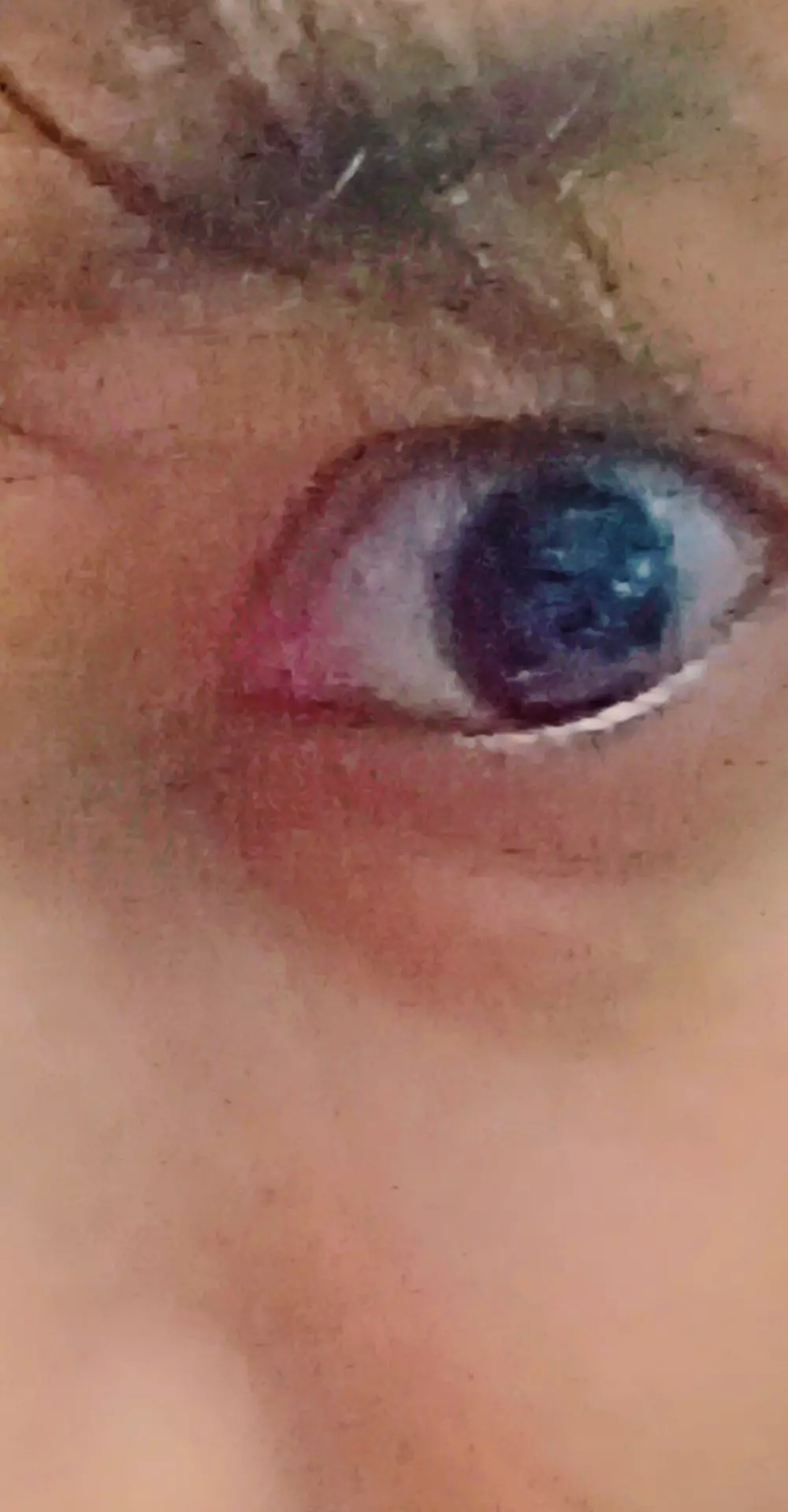 Telugu_bull_hyderabad