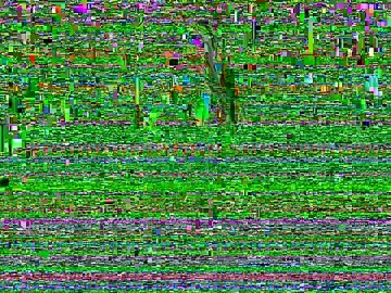 Stripchat Best Webcam of GarryHill