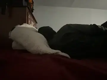 Stripchat Sex Cam of MIGHTYDEMONXXX