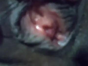 Stripchat Best Webcam of ElianeHot