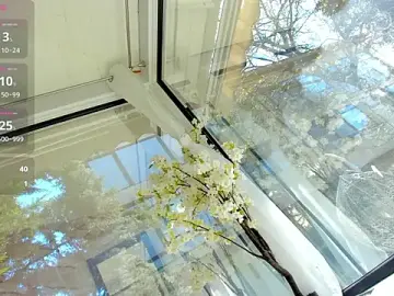 Stripchat Live Porn of Russian_Ava