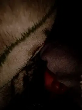 Stripchat Sex Cam of Aimeesha