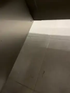 Stripchat Live Sex of TheKingThiago