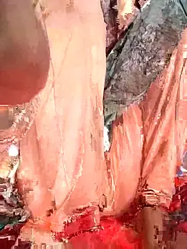 Stripchat Nude Webcam of 124pakhi