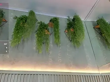 Stripchat Watch Live Sex Cams of Lana_Lann