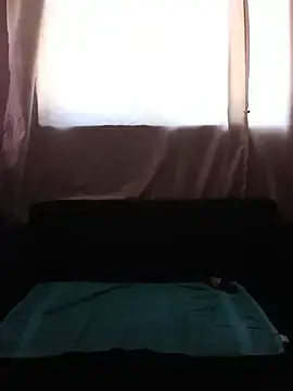 Stripchat Adult Webcams of shy-lillyX22