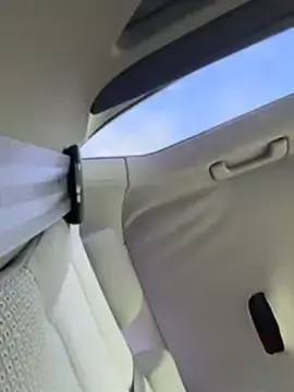 Stripchat Live Sex of Pablo_Hornyguy95