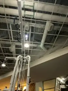 Stripchat Adult Webcam of choclatepeaach