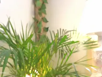 Stripchat Best live sex cam show of Tommyfoxboy