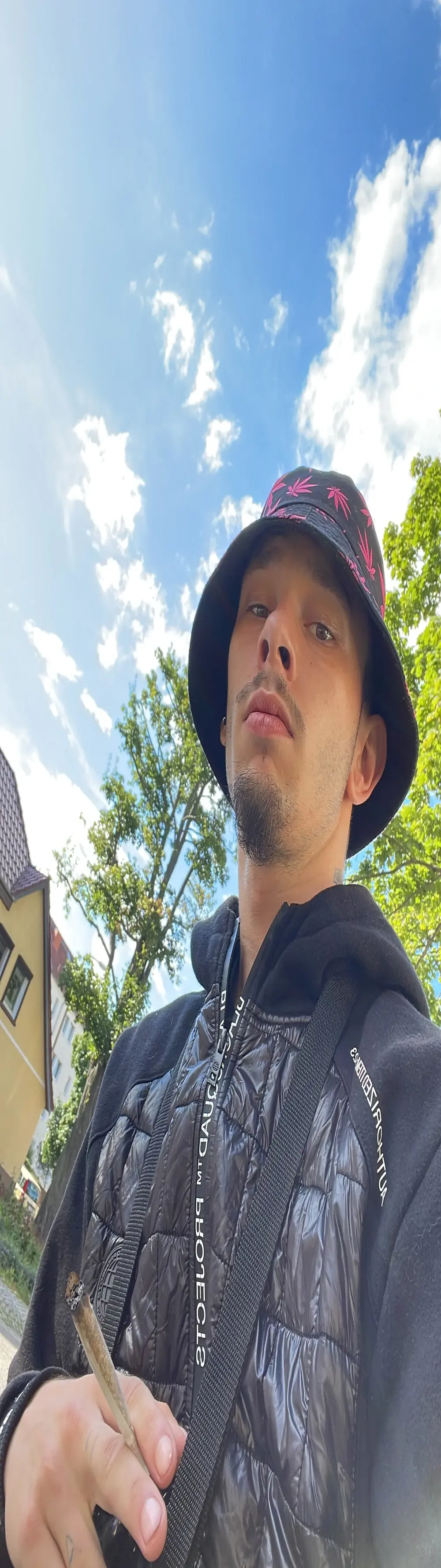 big_cock_is_back