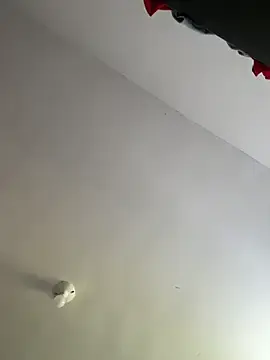 Stripchat Live Sex Cam of sendfer