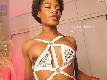 Stripchat Adult Video Chat of euphoricbunny