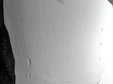 Stripchat Adult Webcams of exotic_hot_couple