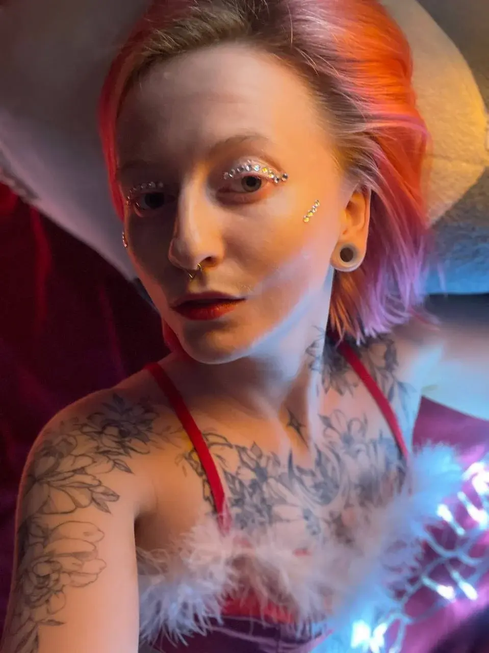 alicekek