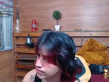 Stripchat Best Webcam of alex_477