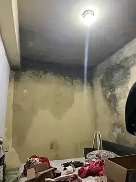 Stripchat Live Sex of Chloe_Leaozinho