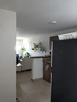 Stripchat Adult Video Chat of RachellGraham