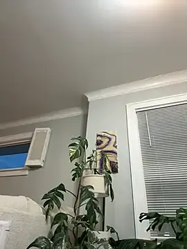 Stripchat Live Sex Cam of LoveShae_