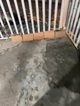 Stripchat Free Porn Cam of Moom_evil1177