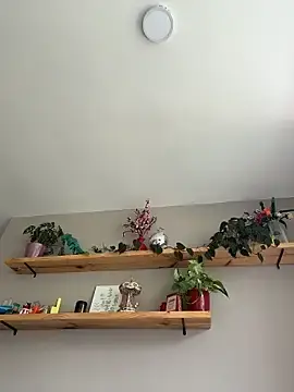 Stripchat Live Porn of SugarTroubl33