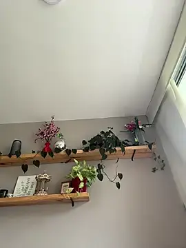 Stripchat Live Sex of SugarTroubl33