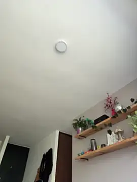 Stripchat Live Sex Cam of SugarTroubl33