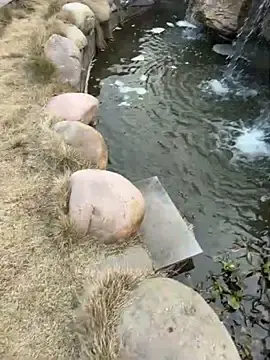 Stripchat Live Porn of yourkeer