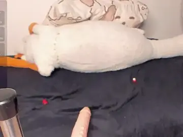 Stripchat Best Webcam of NeilRogers