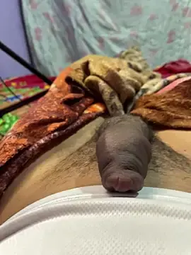 Stripchat Free Porn Cam of boysquirt