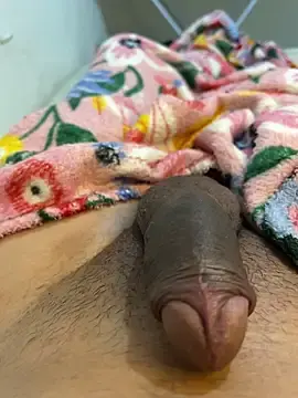 Stripchat Live Sex Cam of boysquirt