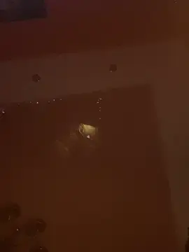 Stripchat Sex Chat of Flossy_Vettie