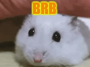 Stripchat Private Sex Chat of Lolly_Fly