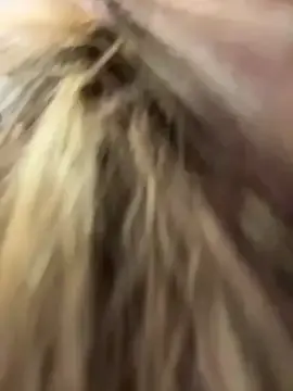 Stripchat Best Webcam of PumaShyXD