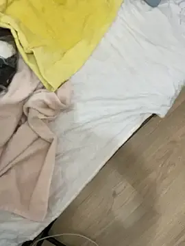 Stripchat Free Live Porn of Ozge-SluttyScream69