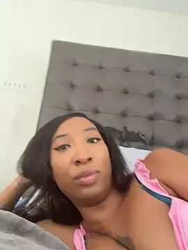 Stripchat Live Sex Cam of LeBimbo