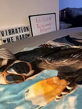 Stripchat Nude Webcam of secret_dream415