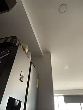 Stripchat Live Sex of Emma_Wish